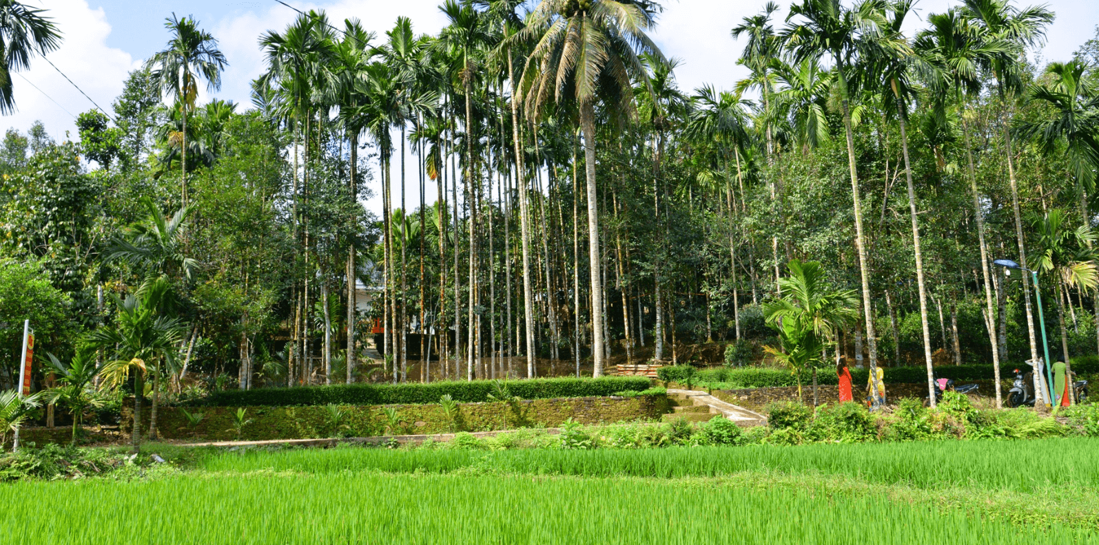 diem-den-du-lich-tien-phuoc