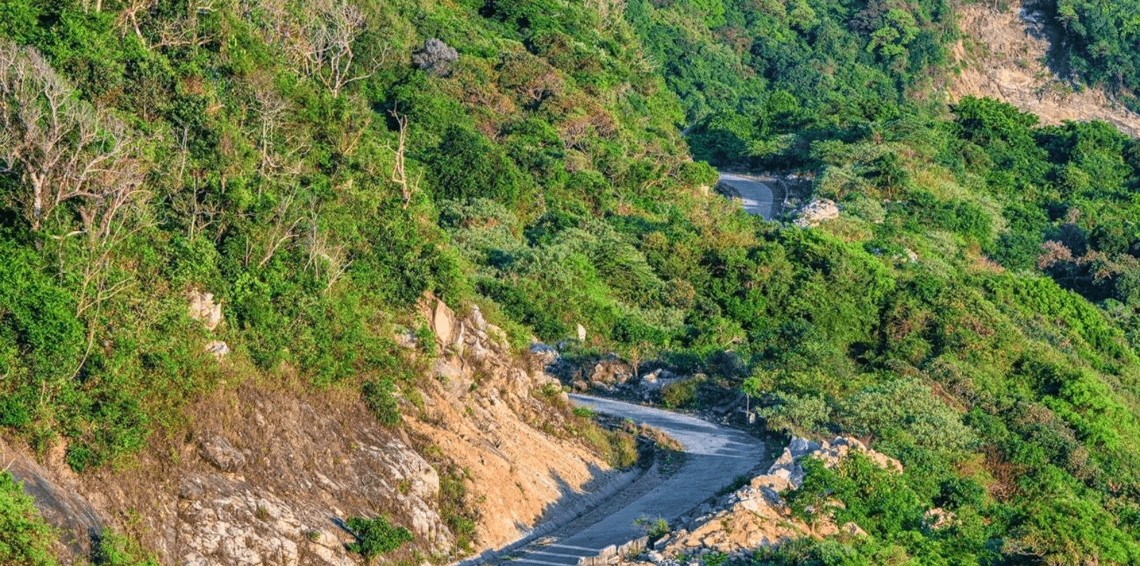 rung-nguyen-sinh-cu-lao-cham