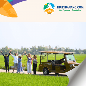 Chạm vào miền nguyên bản ở Đà Nẵng: Khi thiên nhiên trở thành nhịp kết nối