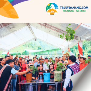 Lễ hội Sâm Ngọc Linh & Dược liệu quốc tế 2026: Tinh hoa đại ngàn hội tụ